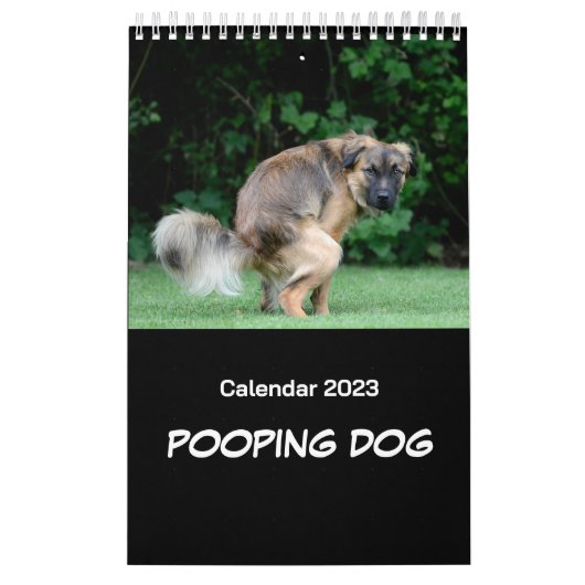 Kackend Hundekalender 2023 Kalender (Titelbild)