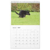 Kackend Hundekalender 2023 Kalender (Jan 2027)