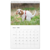 Kackend Hundekalender 2023 Kalender (Mär 2026)