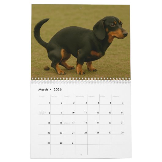Kackend Hundekalender 2026 Kalender (Mär 2026)