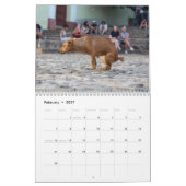 Kackend Hundekalender 2026 Kalender (Feb 2027)