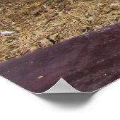 Kackend Katze Poster (Ecke)