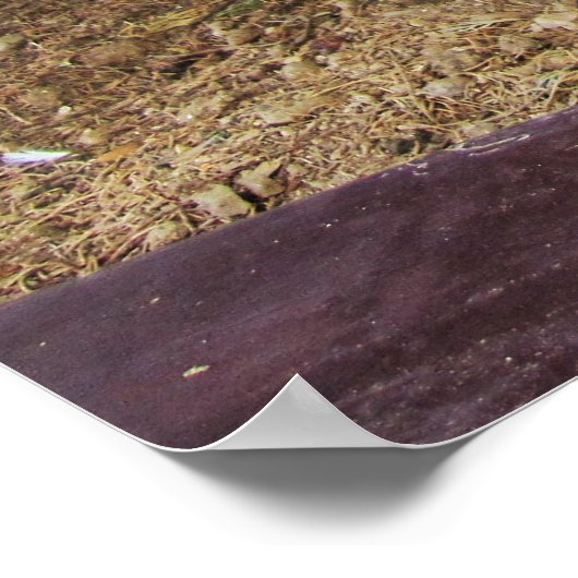 Kackend Katze Poster (Ecke)