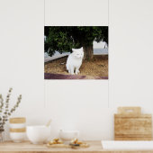 Kackend Katze Poster (Küche)