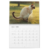 Kackend Katzen-Kalender 2026 Kalender (Mär 2026)
