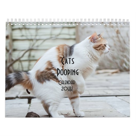 Kackend Katzen-Kalender 2026 Kalender (Titelbild)