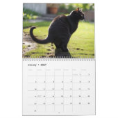 Kackend Katzen-Kalender 2026 Kalender (Jan 2027)