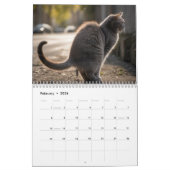 Kackend Katzen-Kalender 2026 Kalender (Feb 2026)