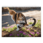 Kackend Katzen-Kalender 2026 Kalender (Titelbild)