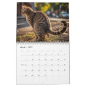 Kackend Katzen-Kalender 2026 Kalender (Mär 2027)