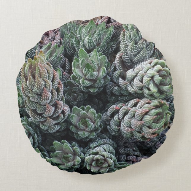 Kactus Round Pillow Rundes Kissen (Rückseite)