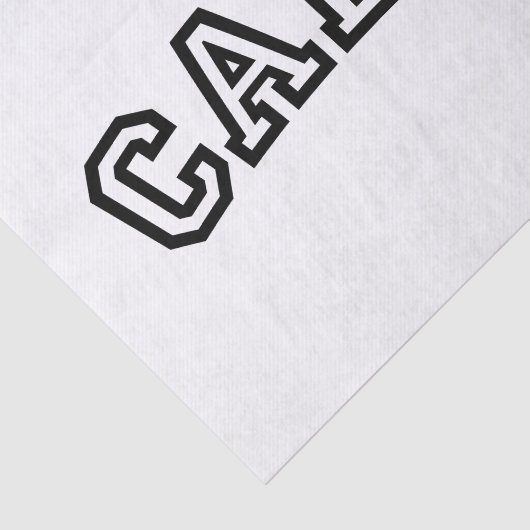 KADET SEIDENPAPIER (Ausschnitt)