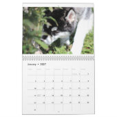 Kaeru Der Husky-Kalender Kalender (Jan 2027)