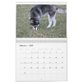 Kaeru Der Husky-Kalender Kalender (Feb 2027)