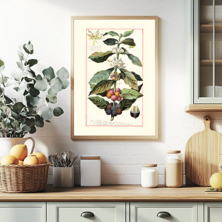 KAFEE - VINTAGE-BOTANISCHE ILLUSTRATION POSTER