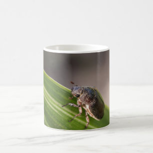 Käfer 01 kaffeetasse