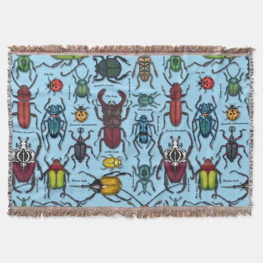 Käfer auf blau decke (Vorderseite)