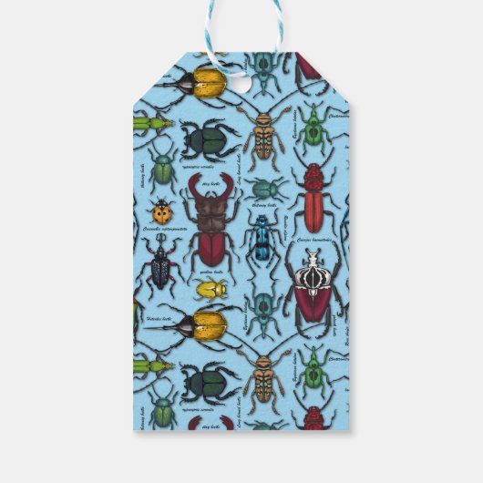 Käfer auf blau geschenkanhänger (Rückseite)