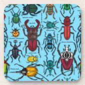 Käfer auf blau getränkeuntersetzer (Vorderseite)