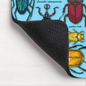 Käfer auf blau mousepad (Ecke)