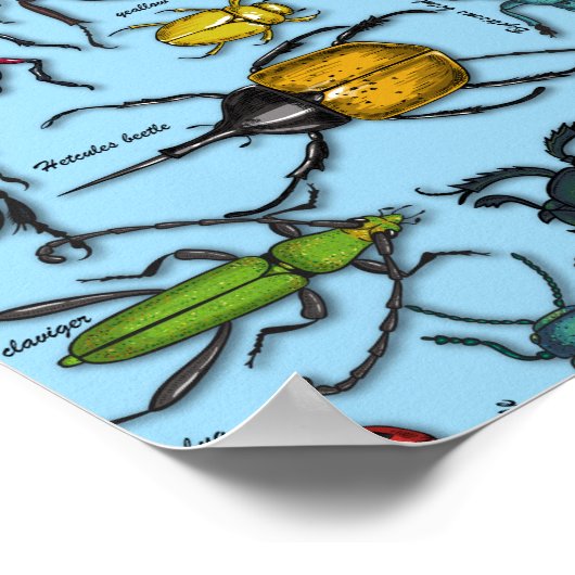 Käfer auf blau poster (Ecke)