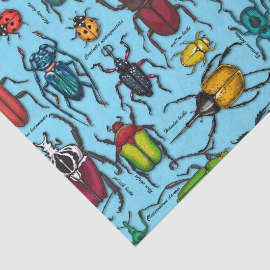 Käfer auf blau seidenpapier (Ausschnitt)