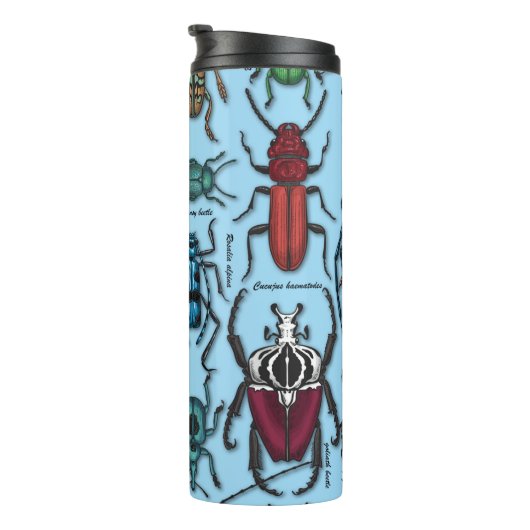 Käfer auf blau thermosbecher (Nach rechts gedreht)
