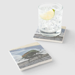 Käfer auf dem Untersetzer Pier Stone