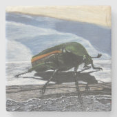 Käfer auf dem Untersetzer Pier Stone (Vorderseite)