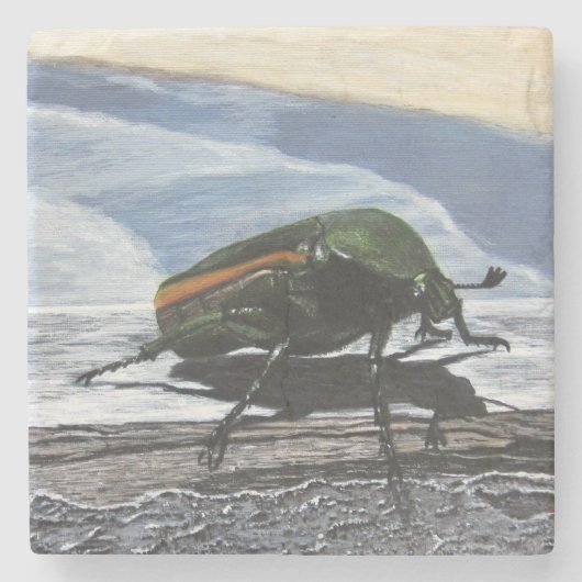 Käfer auf dem Untersetzer Pier Stone (Vorderseite)