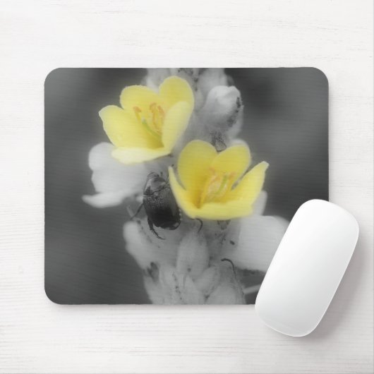 Käfer auf der Blume Mullein Schwarz-weiß Mousepad (Mit Mouse)