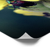 Käfer auf der Wild-Mullein-Blume Nah Poster (Ecke)