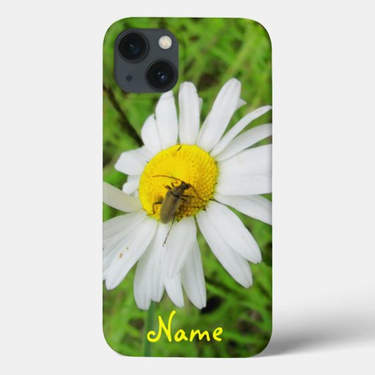 Käfer auf einem Deich Case-Mate iPhone Hülle (Rückseite)