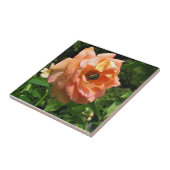 Käfer auf einer Rose Fliese (Seite)