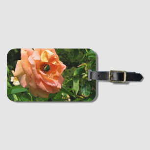 Käfer auf einer Rose Gepäckanhänger