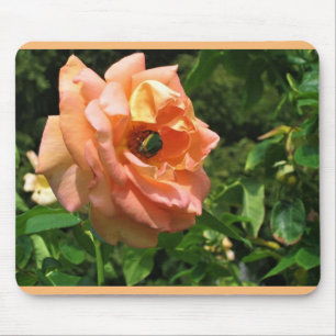Käfer auf einer Rose Mousepad