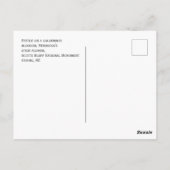 Käfer auf Goldenrod, Scotts Bluff, Gering, NE Postkarte (Rückseite)