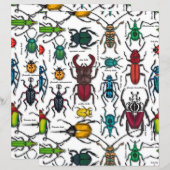 Käfer auf weiß (Vorne/Hinten)