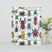 Käfer auf weiß (Stehend Vorderseite)