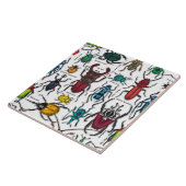 Käfer auf weiß fliese (Seite)