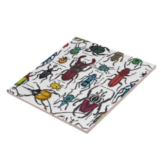 Käfer auf weiß fliese (Seite)