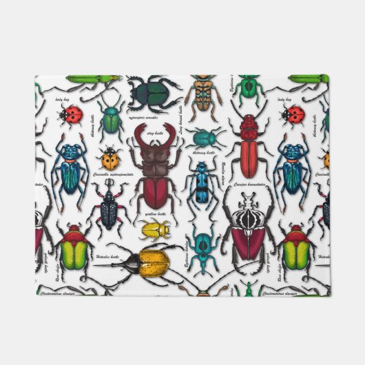 Käfer auf weiß fußmatte (Vorderseite)