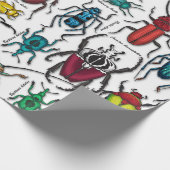 Käfer auf weiß geschenkpapier (Ecke)