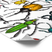 Käfer auf weiß poster (Ecke)