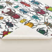 Käfer auf weiß sherpadecke (3/4)