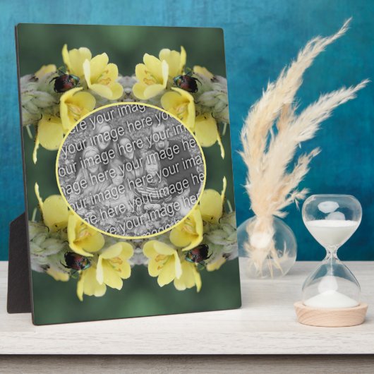 Käfer auf Wild-Mullein-Blume Foto hinzufügen Fotoplatte (Seite)