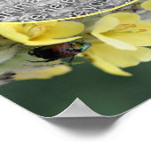 Käfer auf Wild-Mullein-Blume Foto hinzufügen Poster (Ecke)