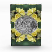 Käfer auf Wild-Mullein-Blume Fügen Sie Ihre Fotoblock (Vorderseite)