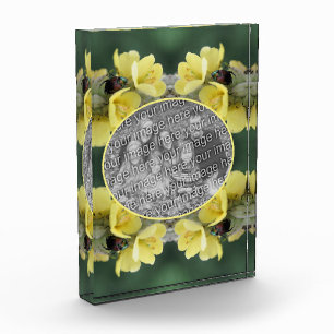 Käfer auf Wild-Mullein-Blume Fügen Sie Ihre Fotoblock