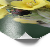 Käfer auf Wild-Mullein-Blume Nah 8x8 Fotodruck (Ecke)